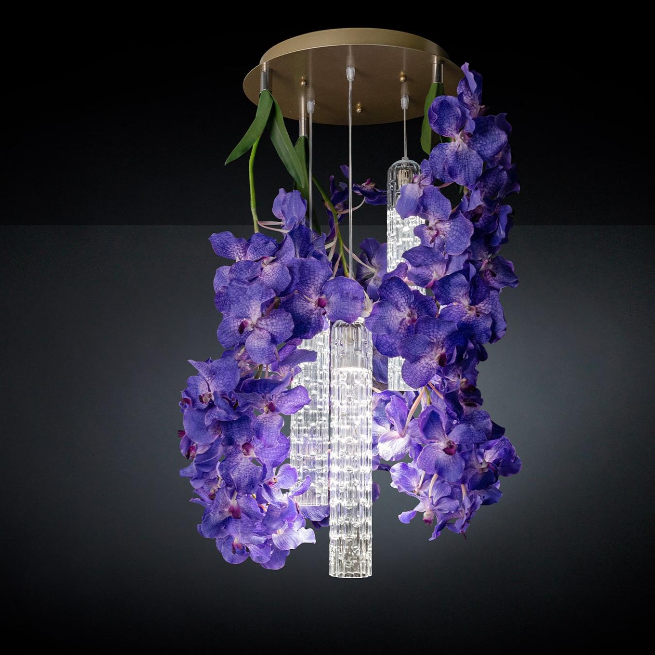 Vanda Small Designer Chandelier