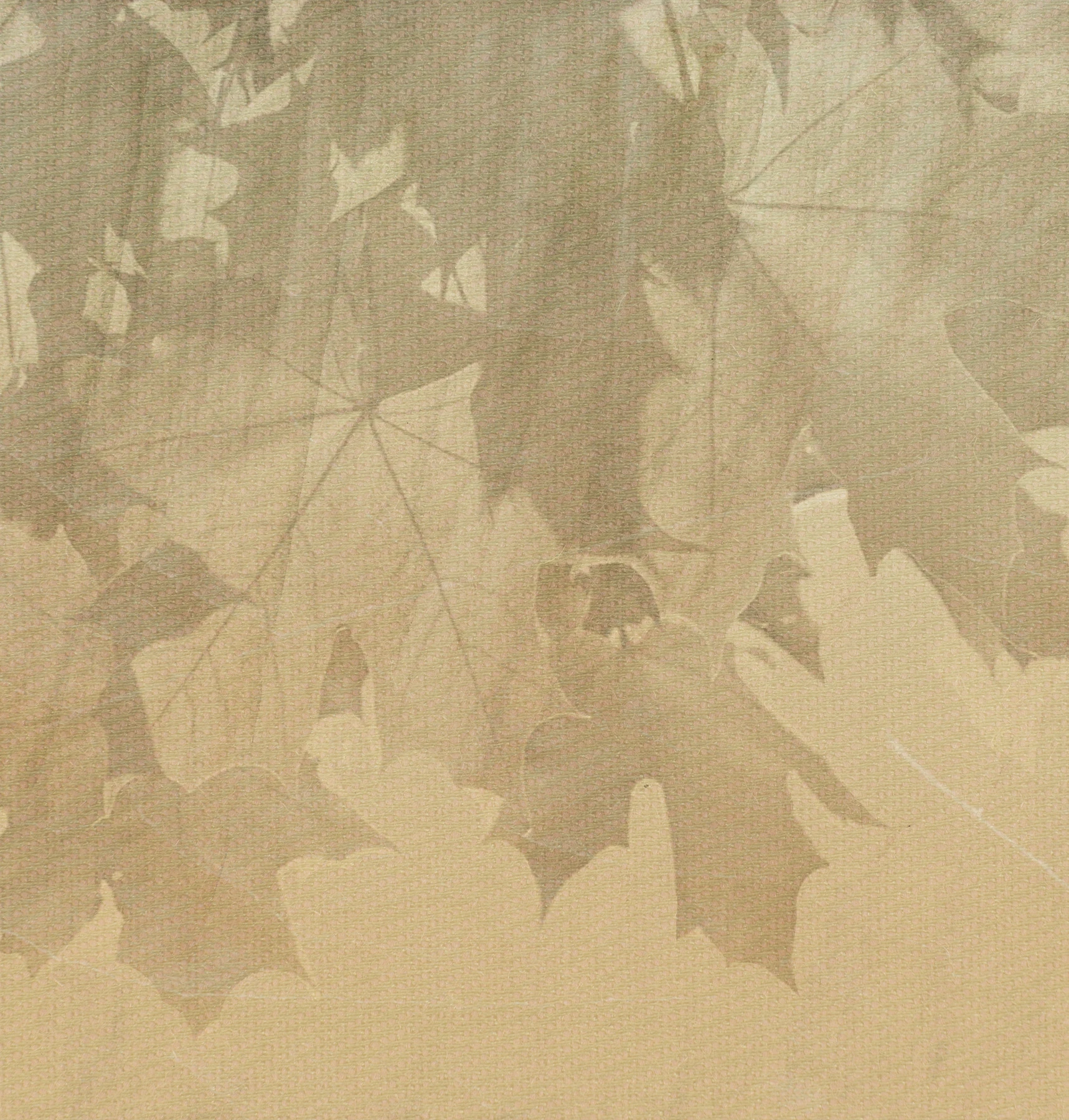 Creative Leaves Wallcovering