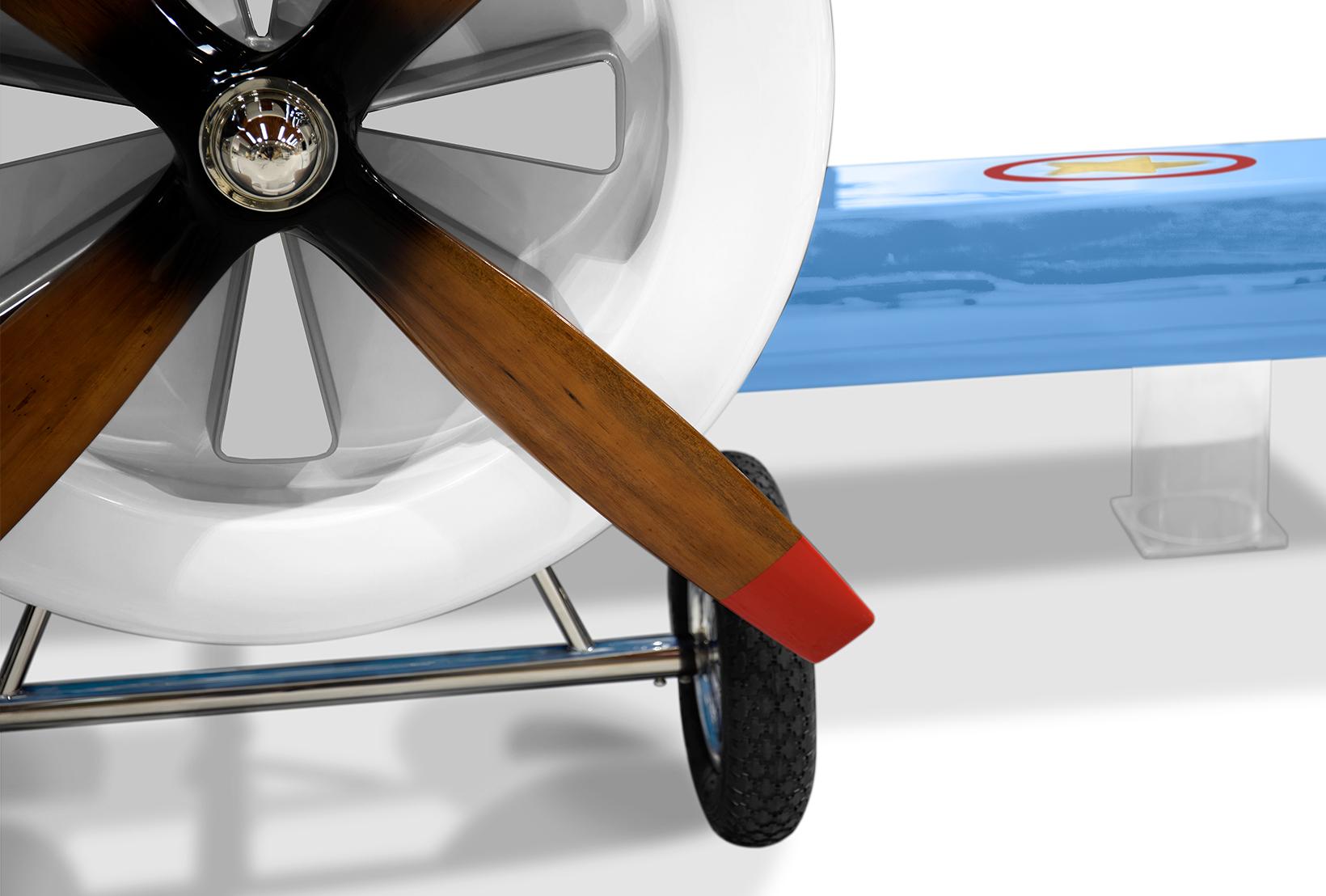 Sky Rider Elegant Plane Bed