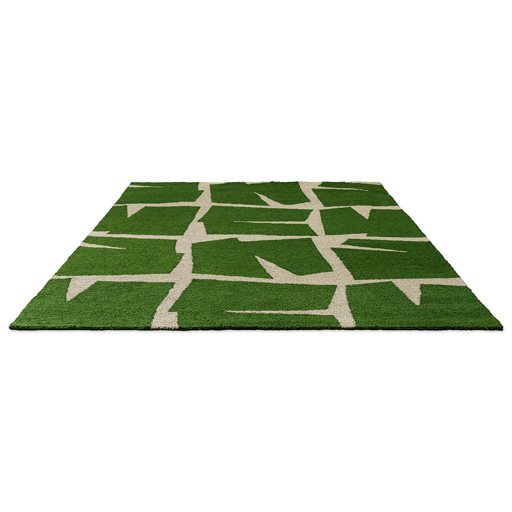 Desert Green Outdoor Rug | Size: 200 x 280 cm