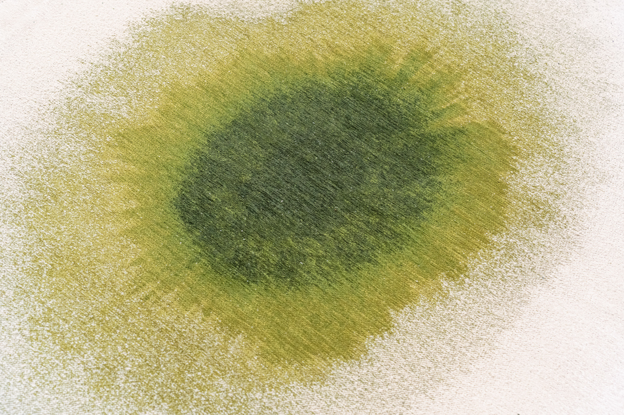 Green Pepper Flatwoven Rug