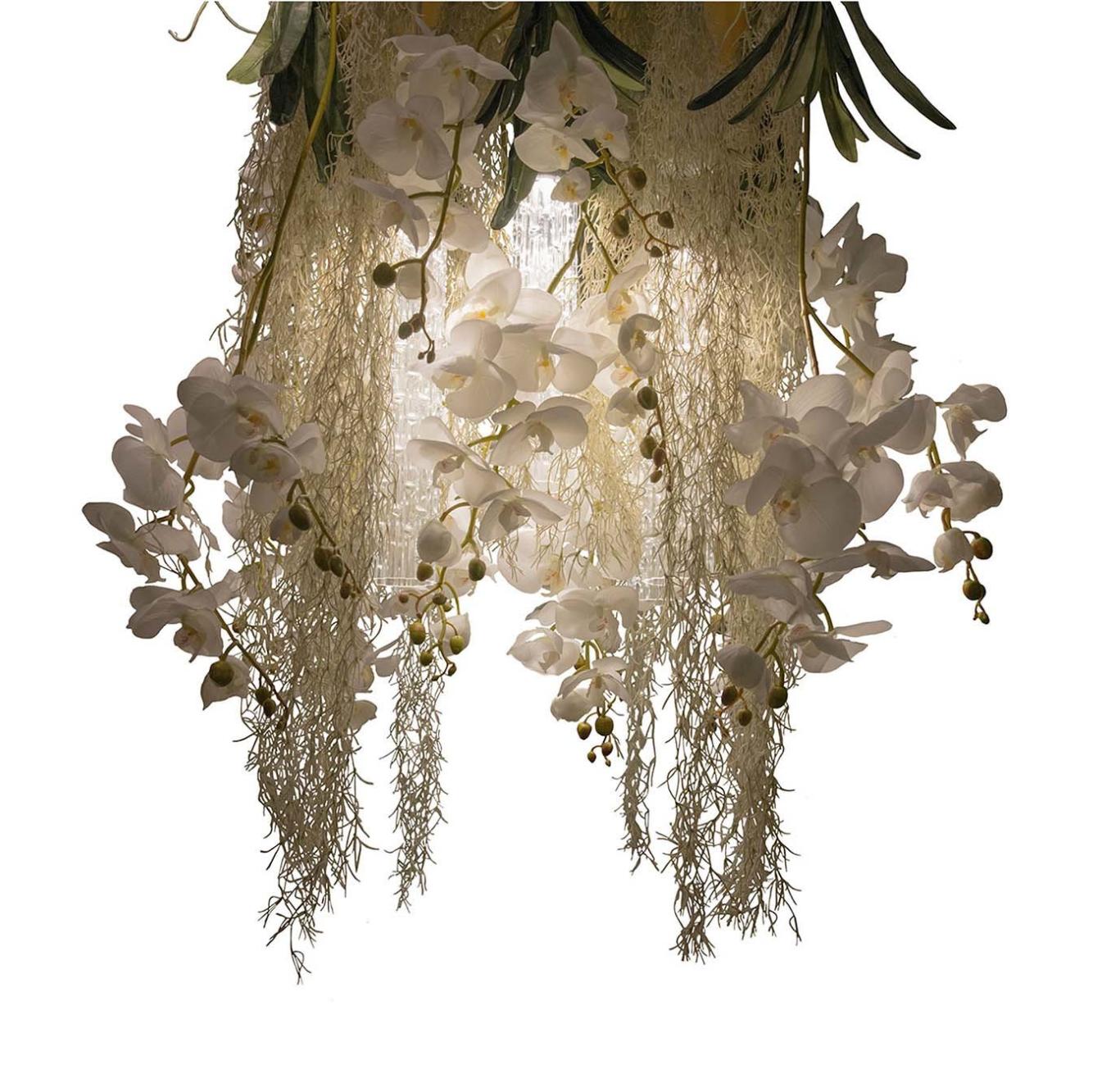 Phalaenopsis Botanical Chandelier