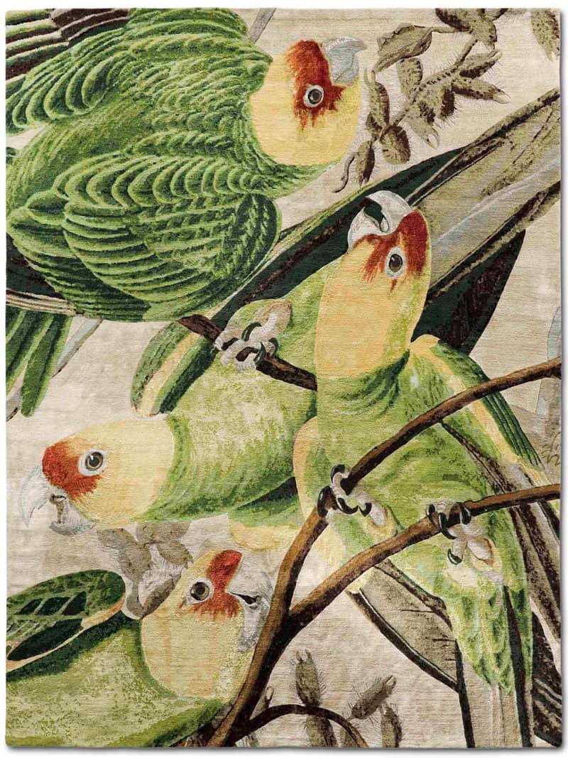 Parrots Hand-Woven Exquisite Rug ☞ Size: 274 x 365 cm