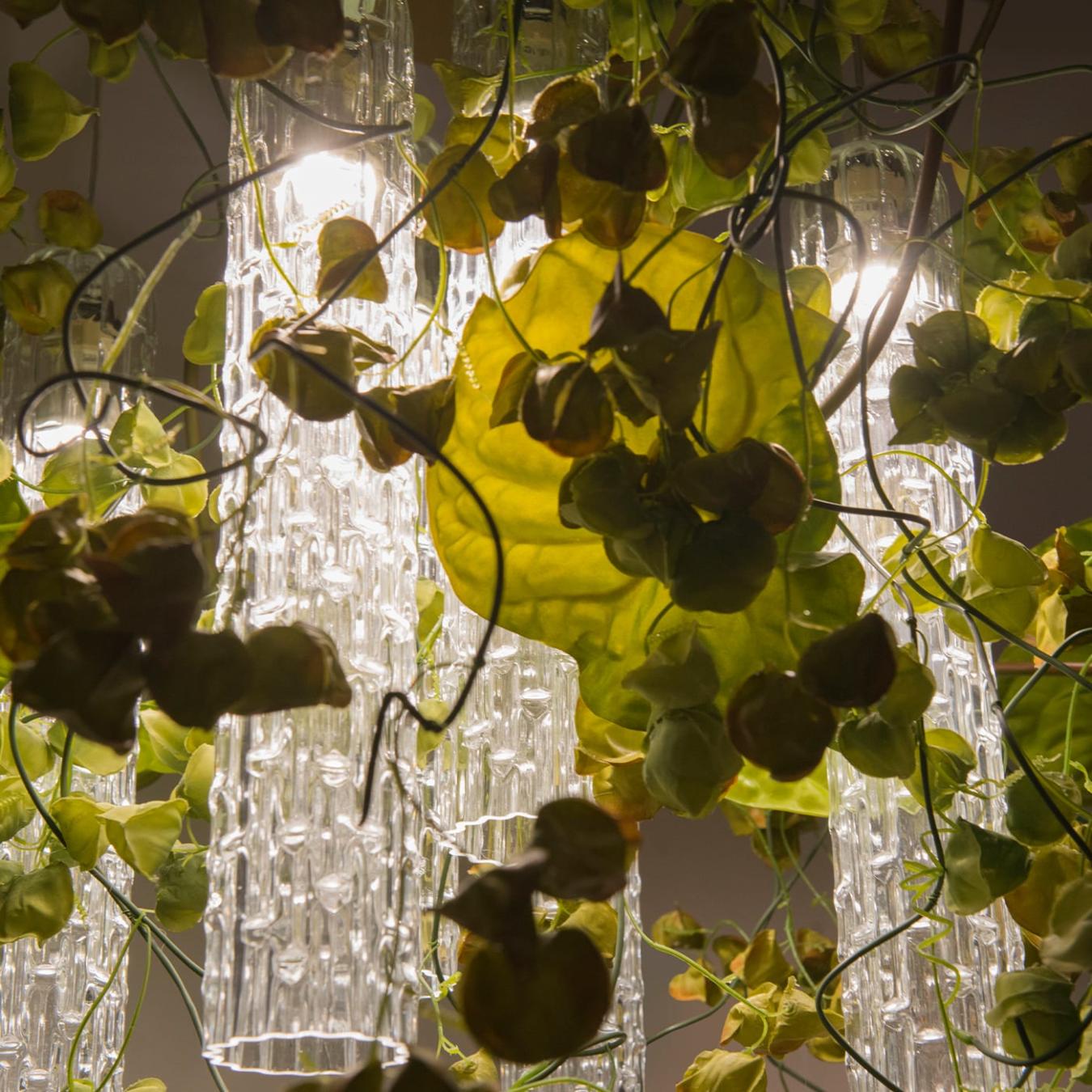 Physalis Anthurium Italian Chandelier