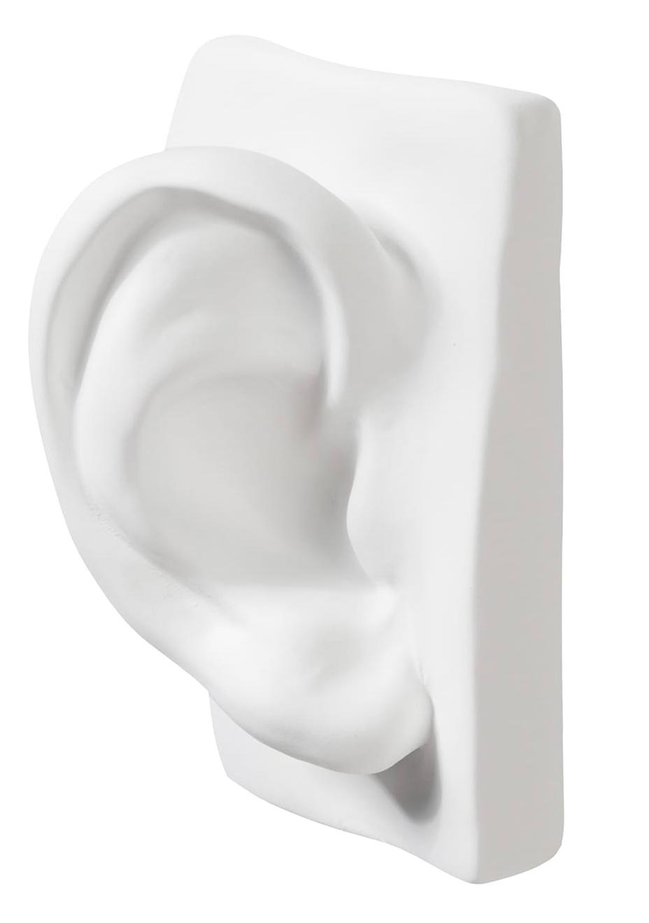 David Ear Handcrafted Sculpture