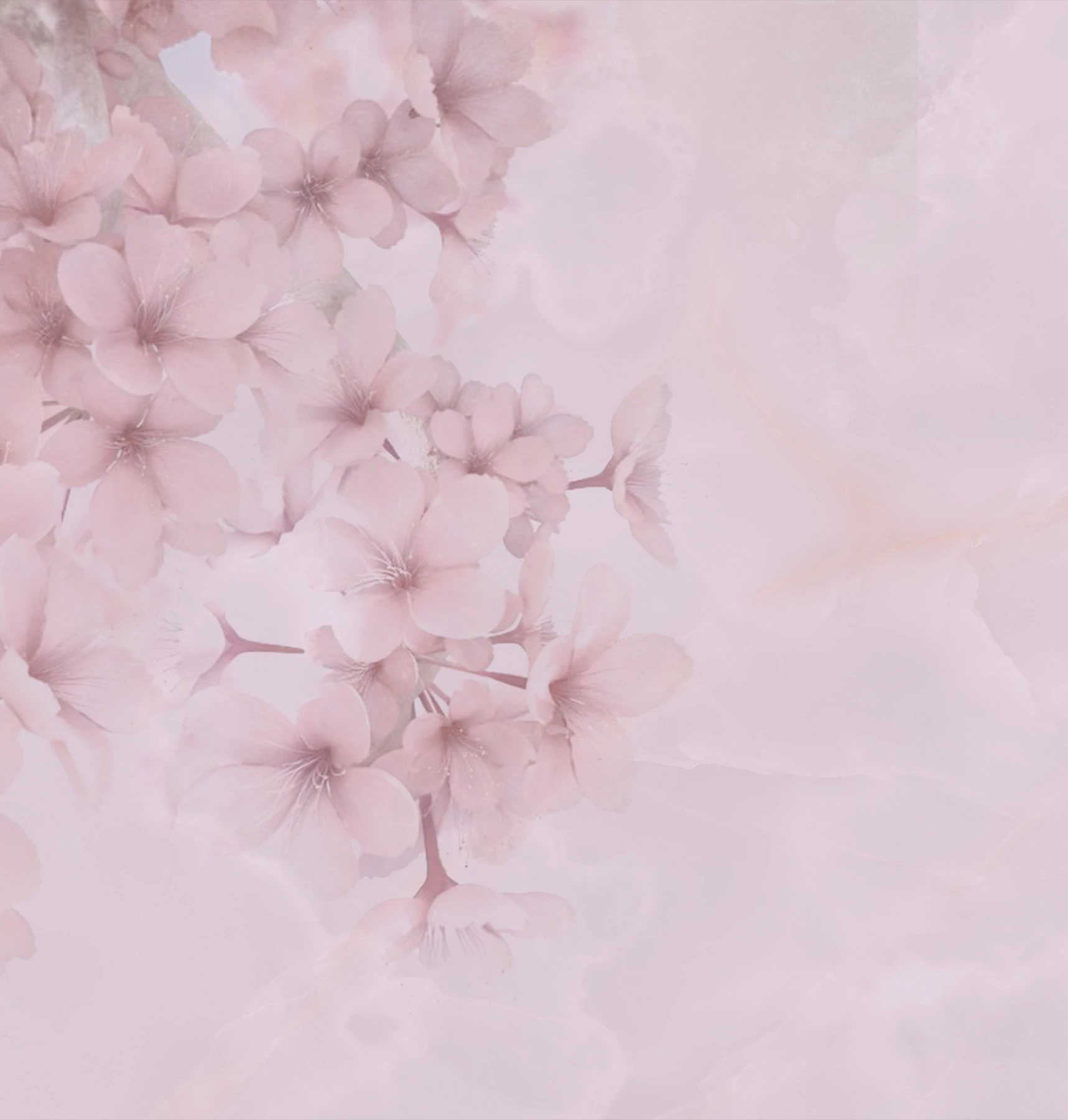 Bloom Wallcovering