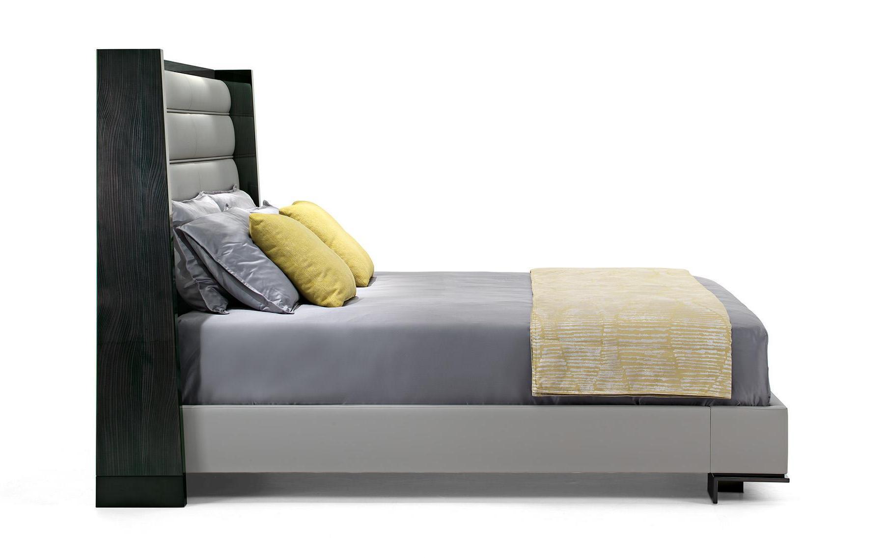 Modern Bed with Headboard