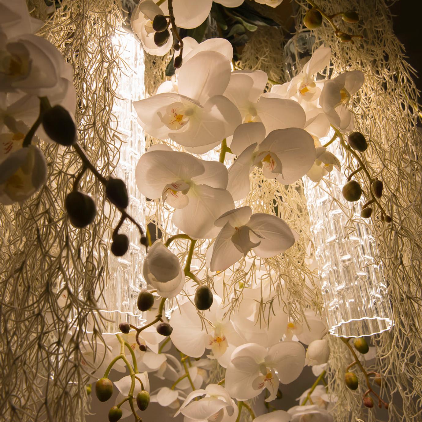 Phalaenopsis Botanical Chandelier