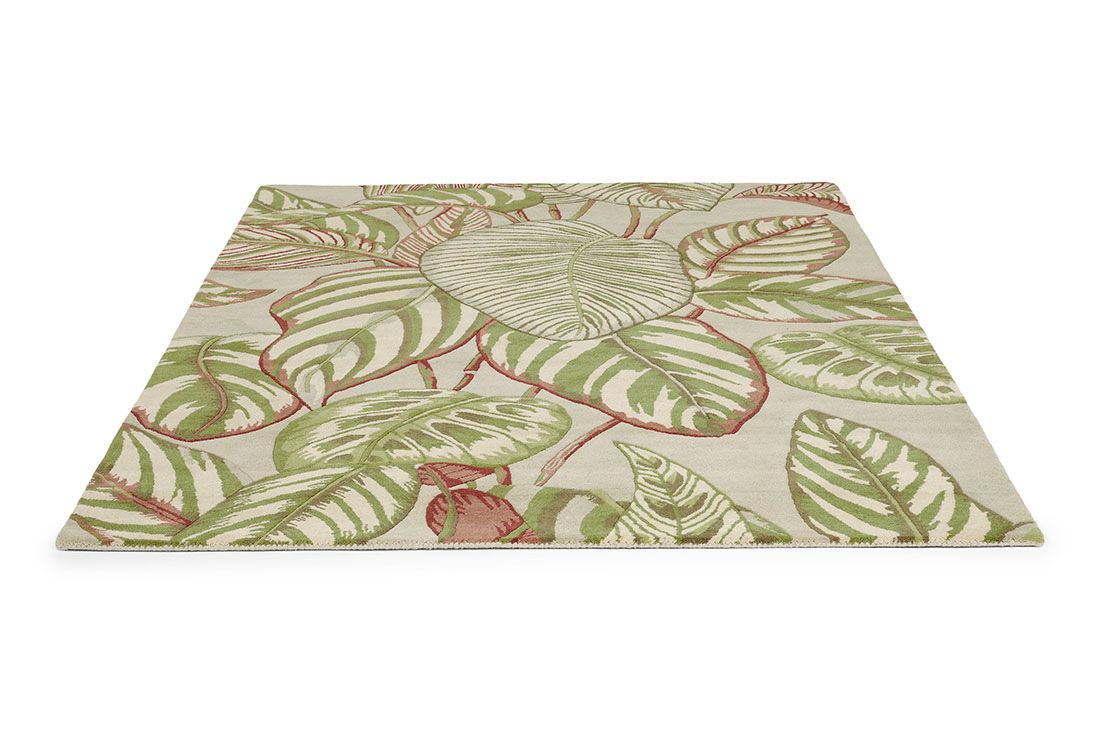 Calathea Olive 50807 Premium Rug | Size: 250 x 350 cm