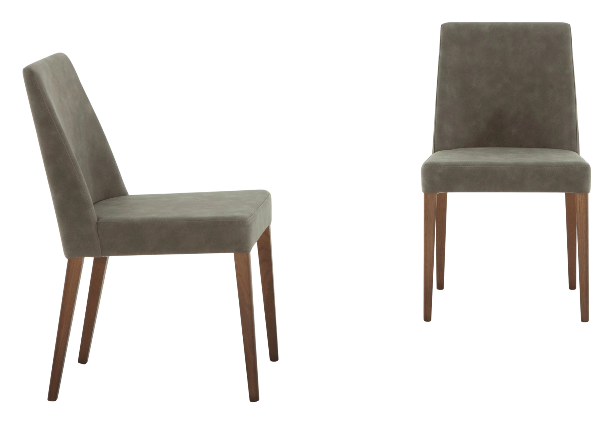 Sam Contemporary Chair