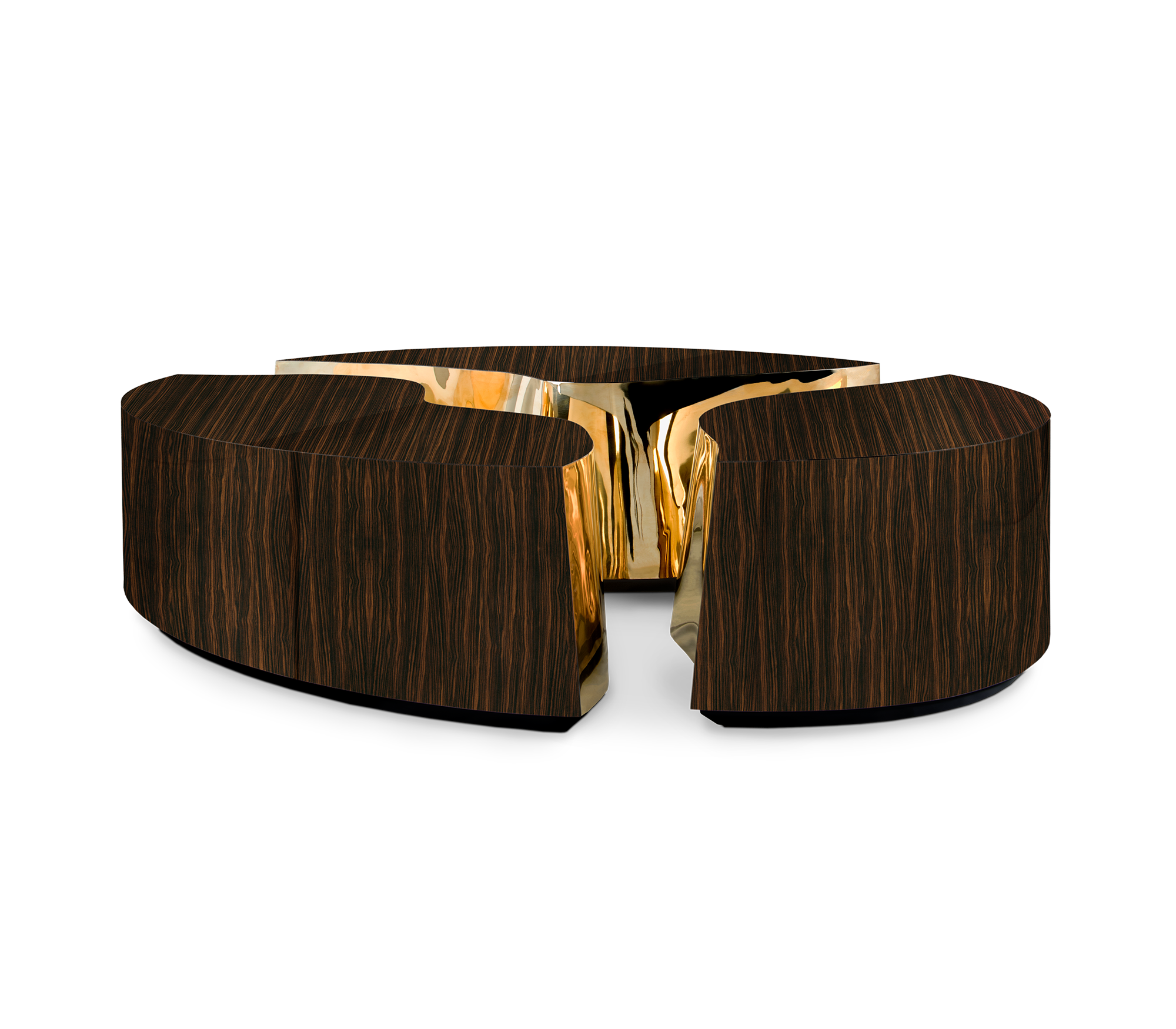 Oval Ebony Designer Coffee Table