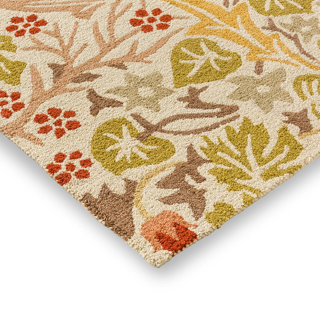 Thorn Wheat Outdoor Rug | Size: 200 x 280 cm