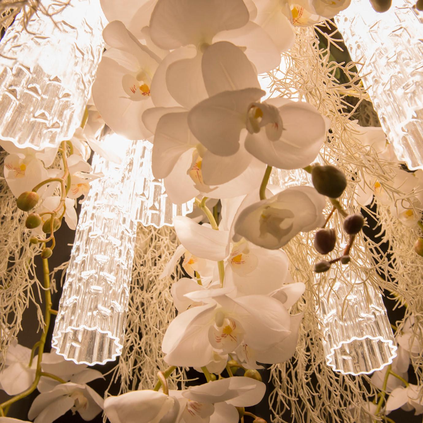 Phalaenopsis Botanical Chandelier