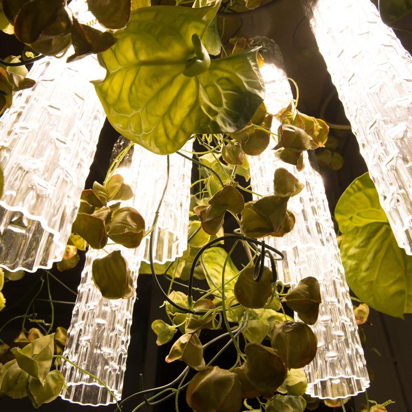 Physalis Anthurium Italian Chandelier