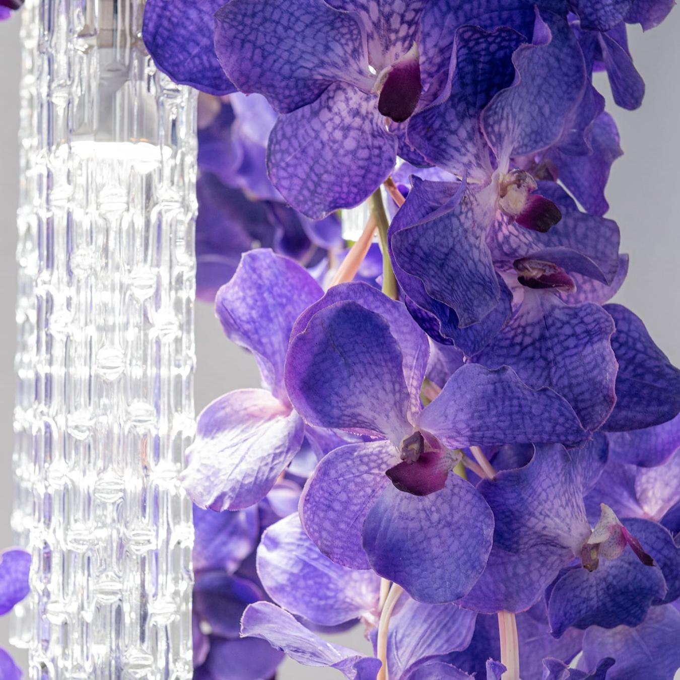 Vanda Small Designer Chandelier