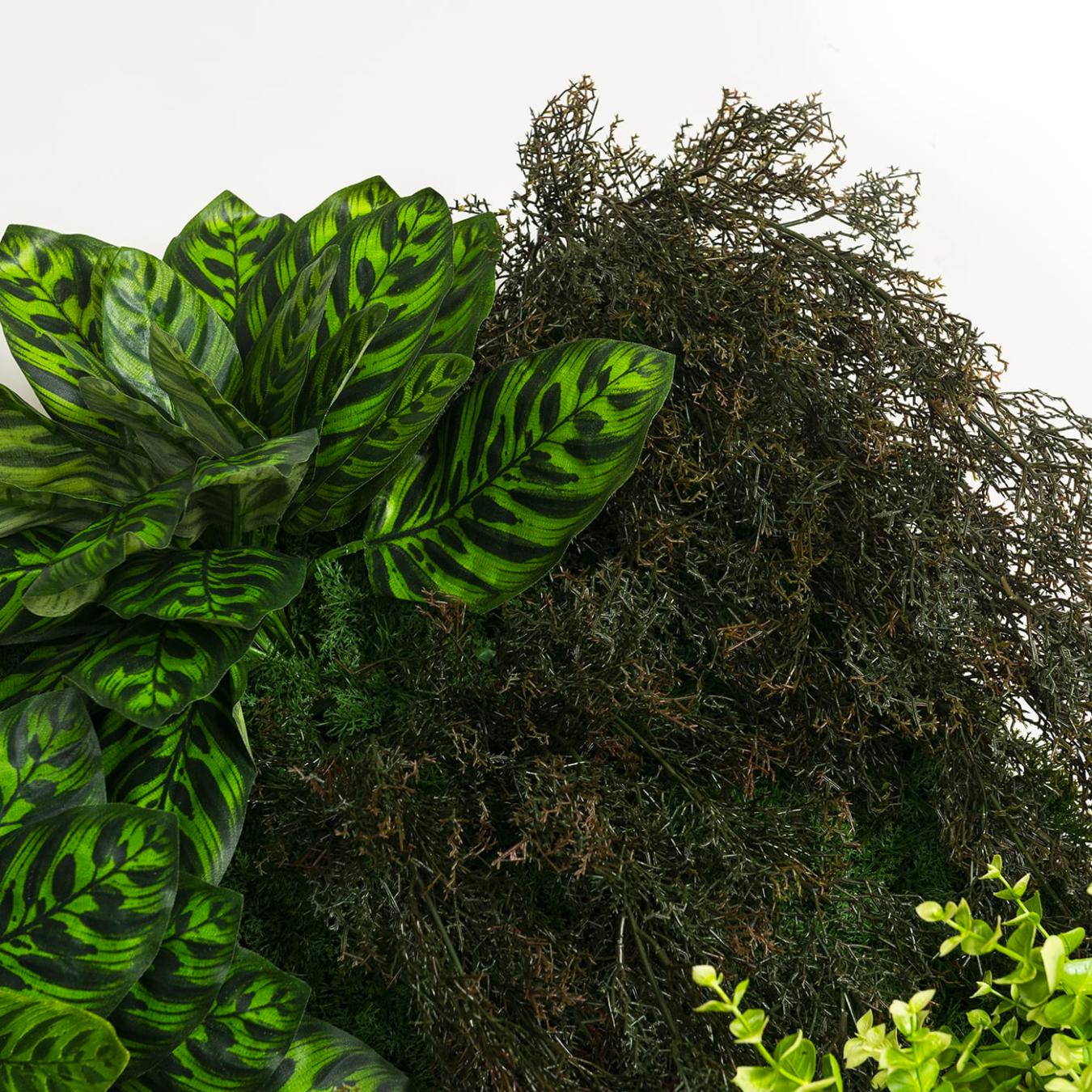 Yellowstone Outdoor Greenery Wall Composition