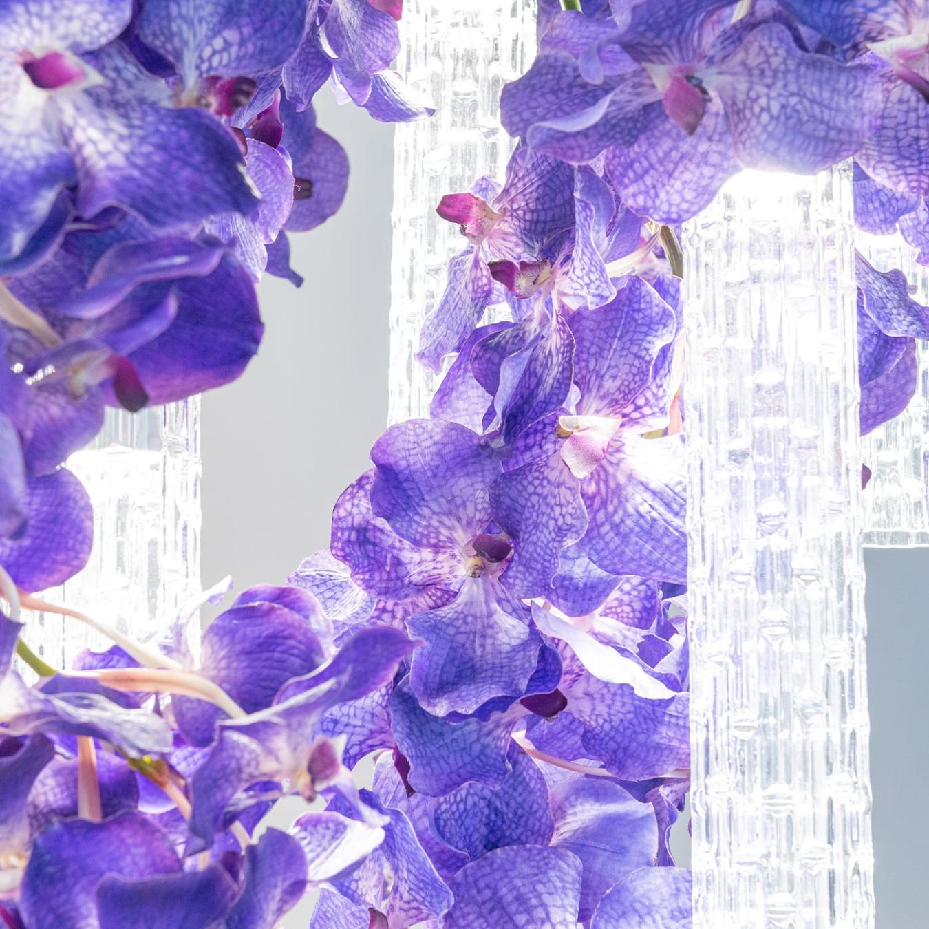 Vanda Large Statement Chandelier
