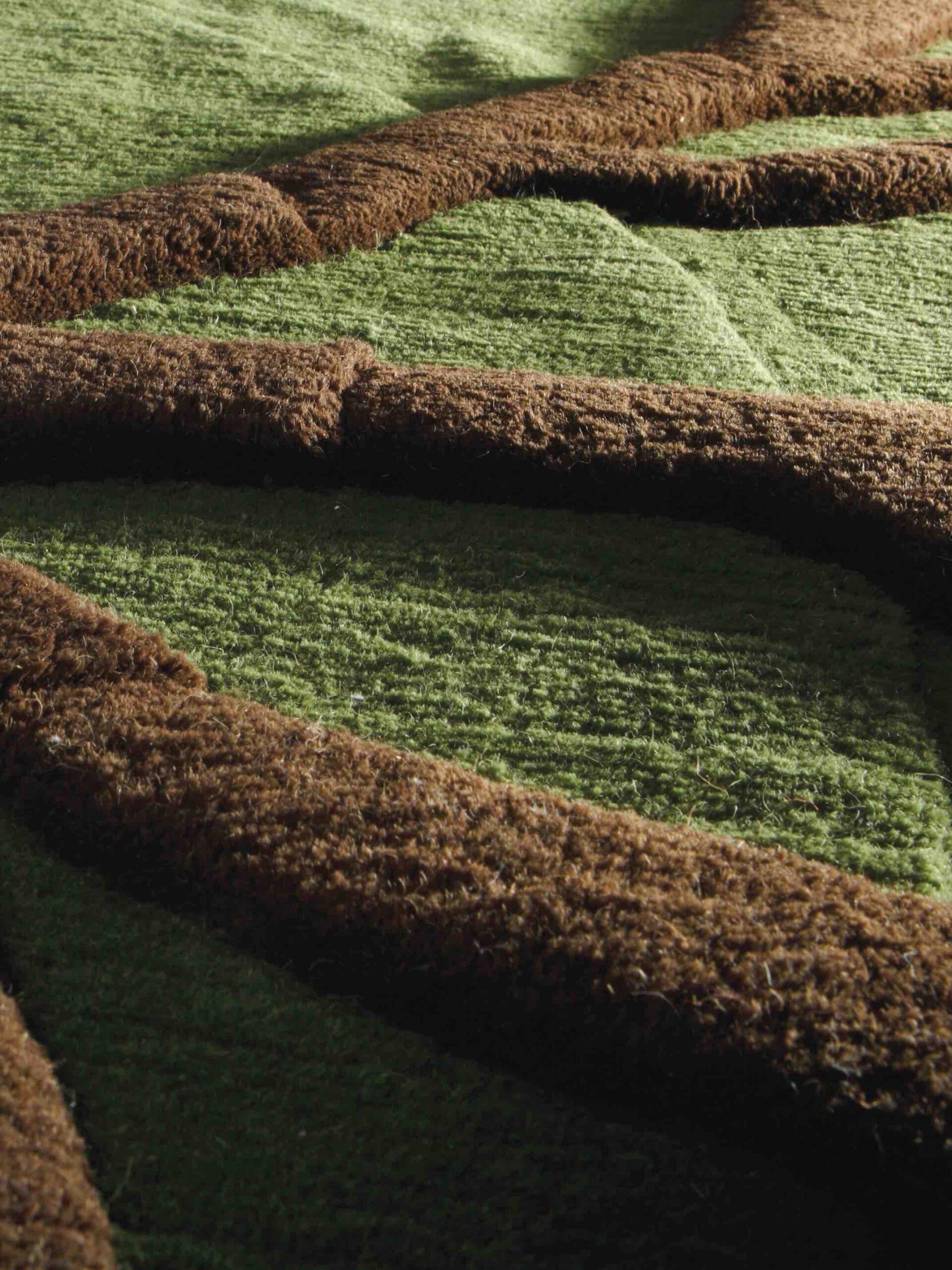 Roots Designer Wool Rug