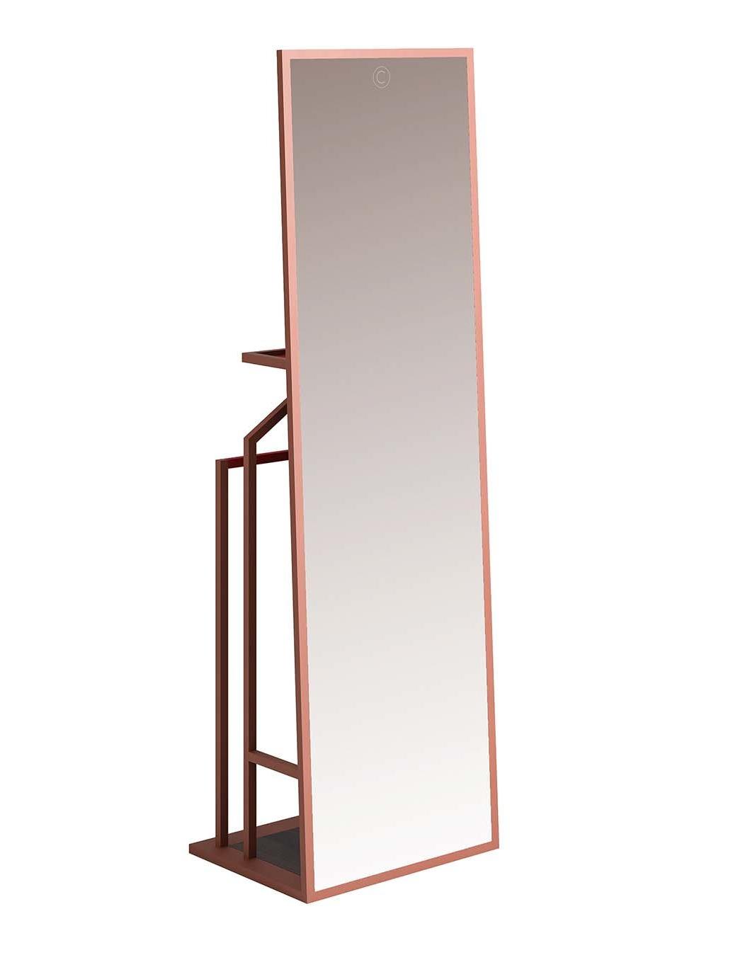 Full-Length Mirror Valet Stand