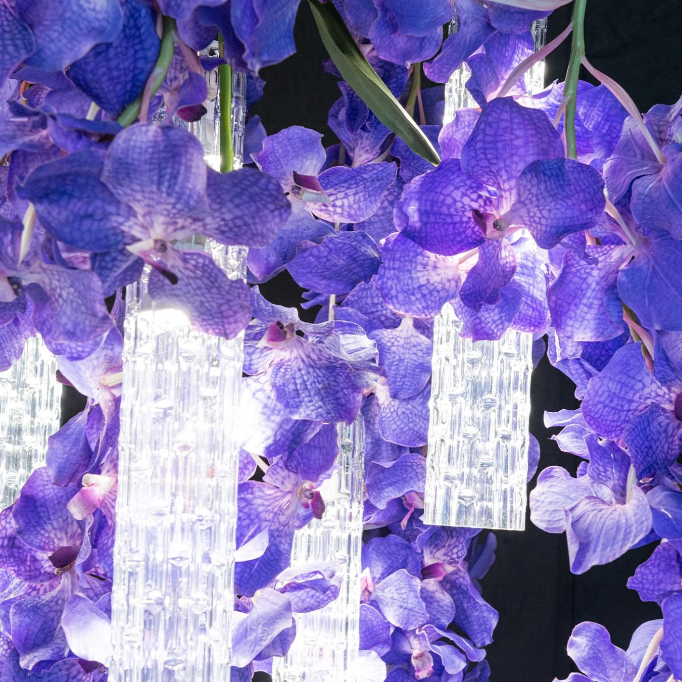 Vanda Large Statement Chandelier