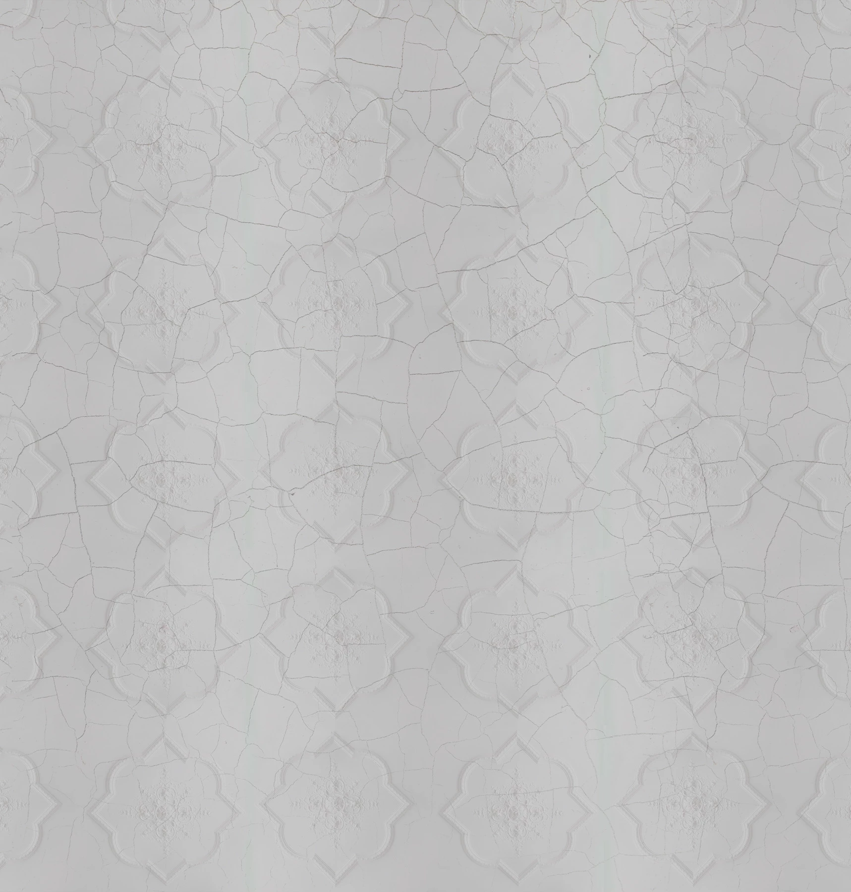 Plaster Wallcovering