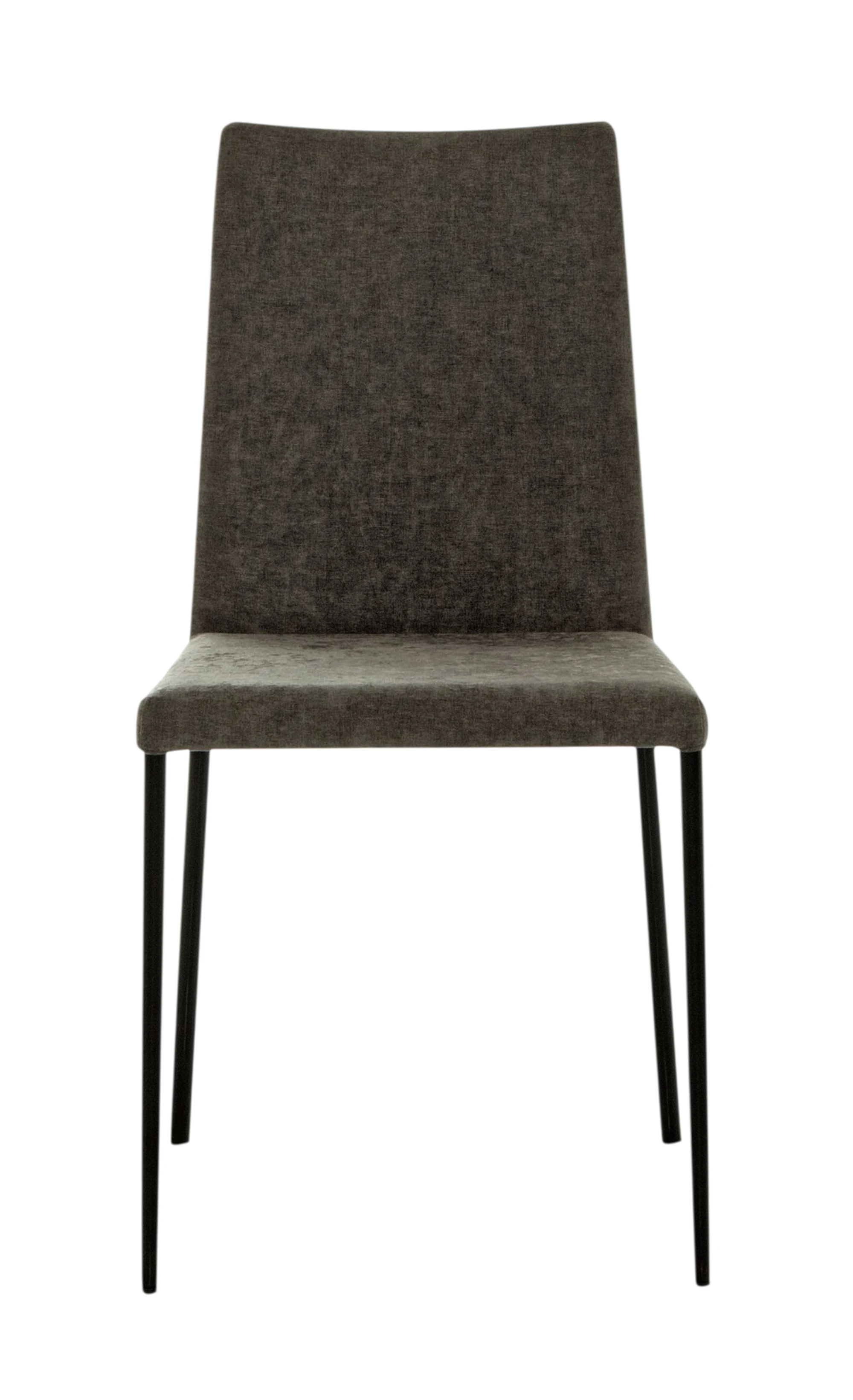 Spillo Contemporary Chair