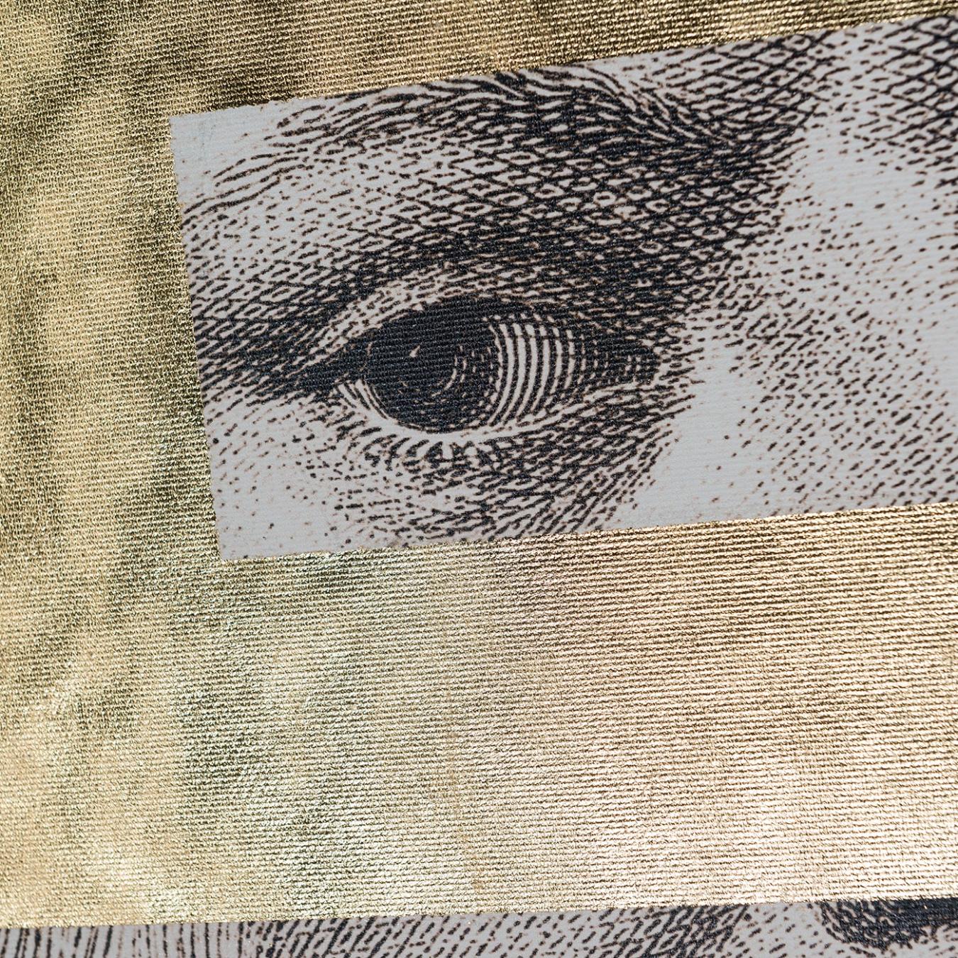 Leonardo Eye Decorative Wall Panel