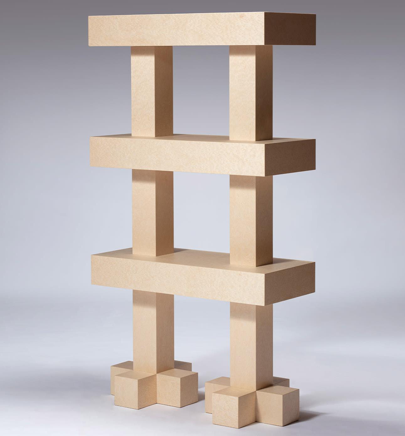 Contemporary Wooden Display Case