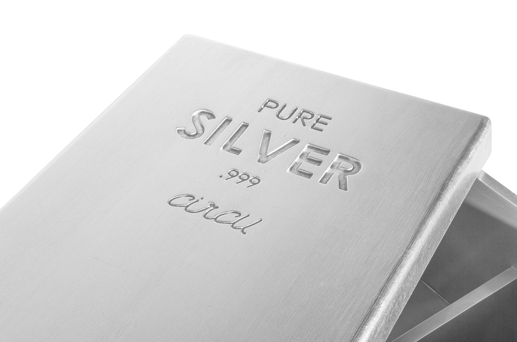Lunar Silver Modern Toy Chest