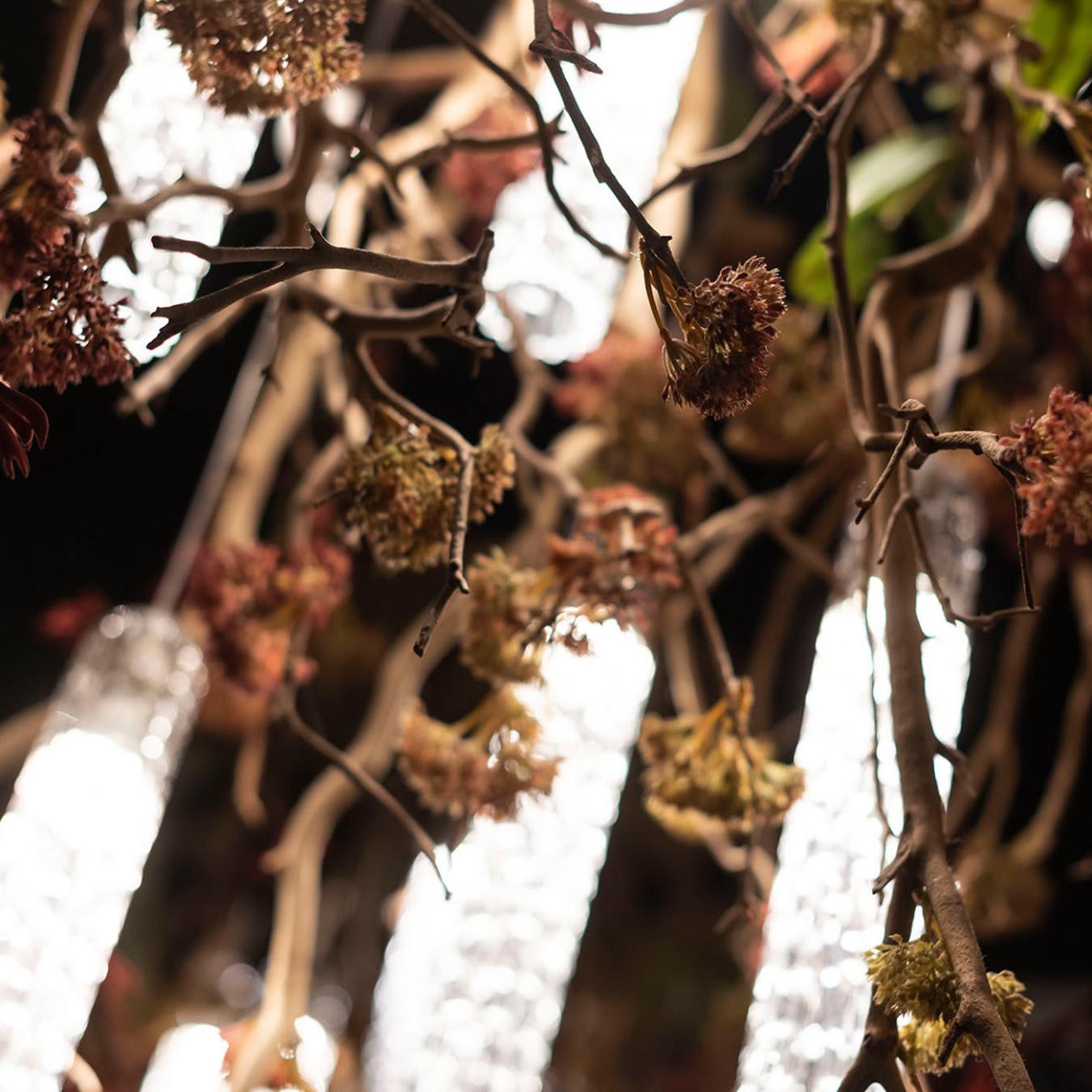 Manzanita Artisan Chandelier
