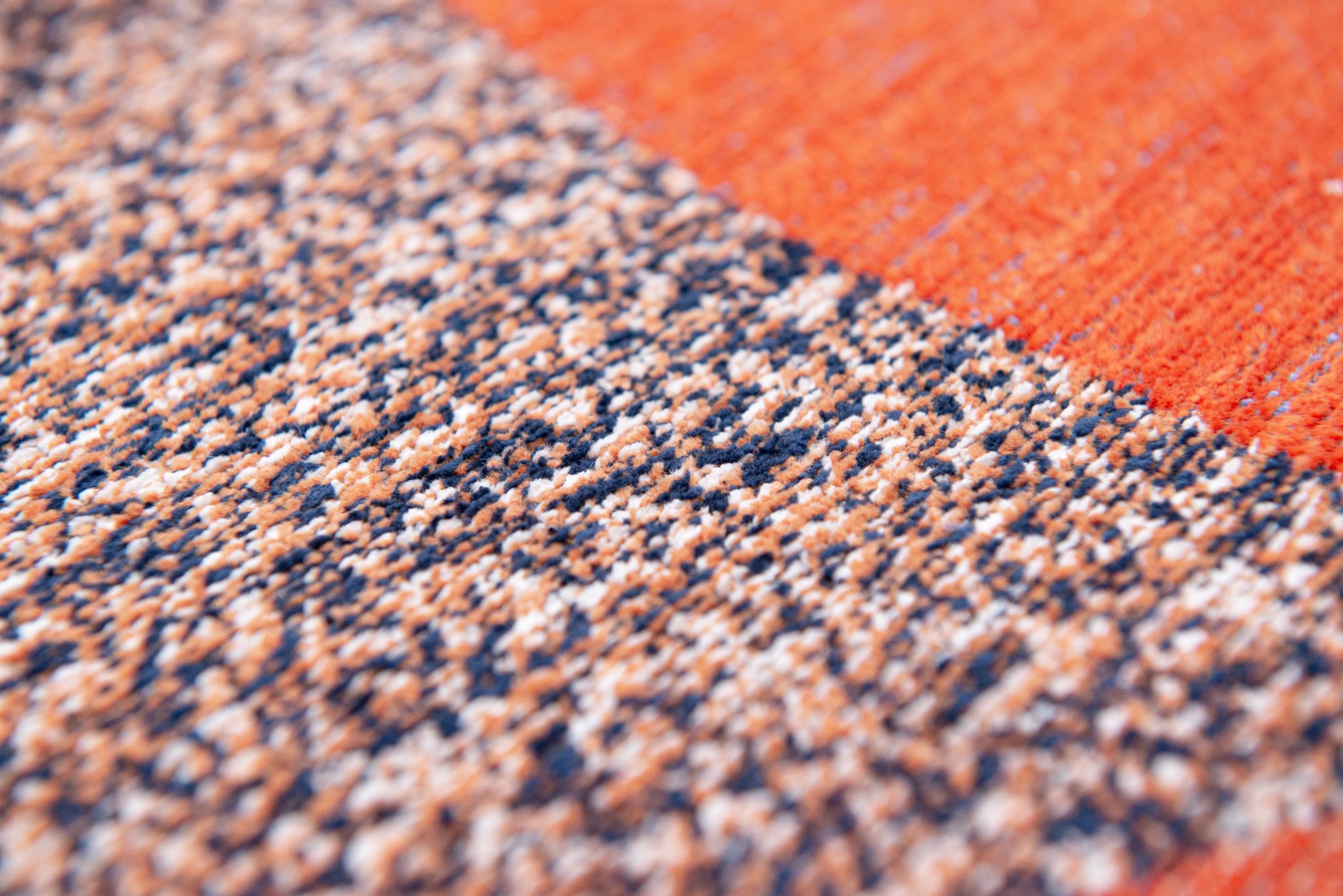 Carpe Diem Modern Flatweave Rug | Size: 240 x 340 cm
