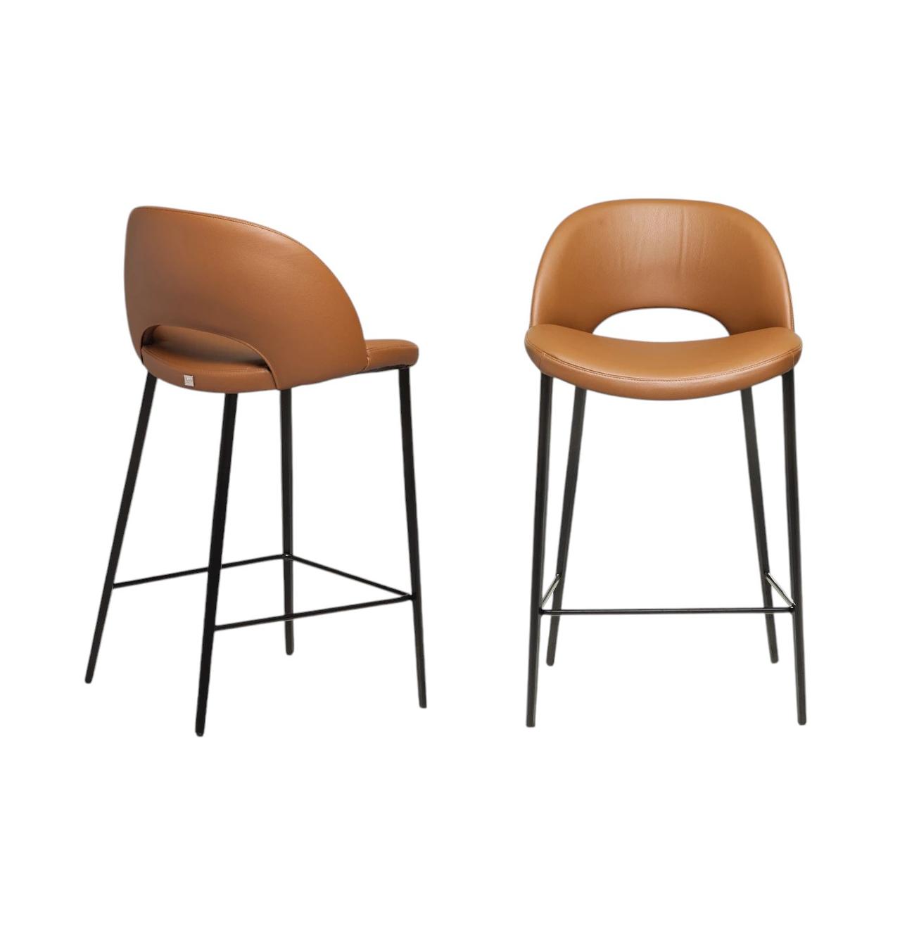 Beetle Contemporary Bar Stool