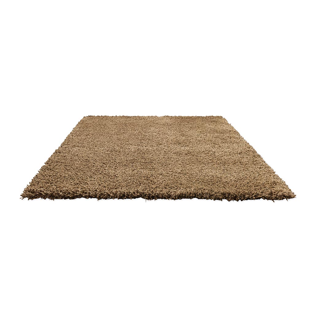 Ground Shaggy Rug