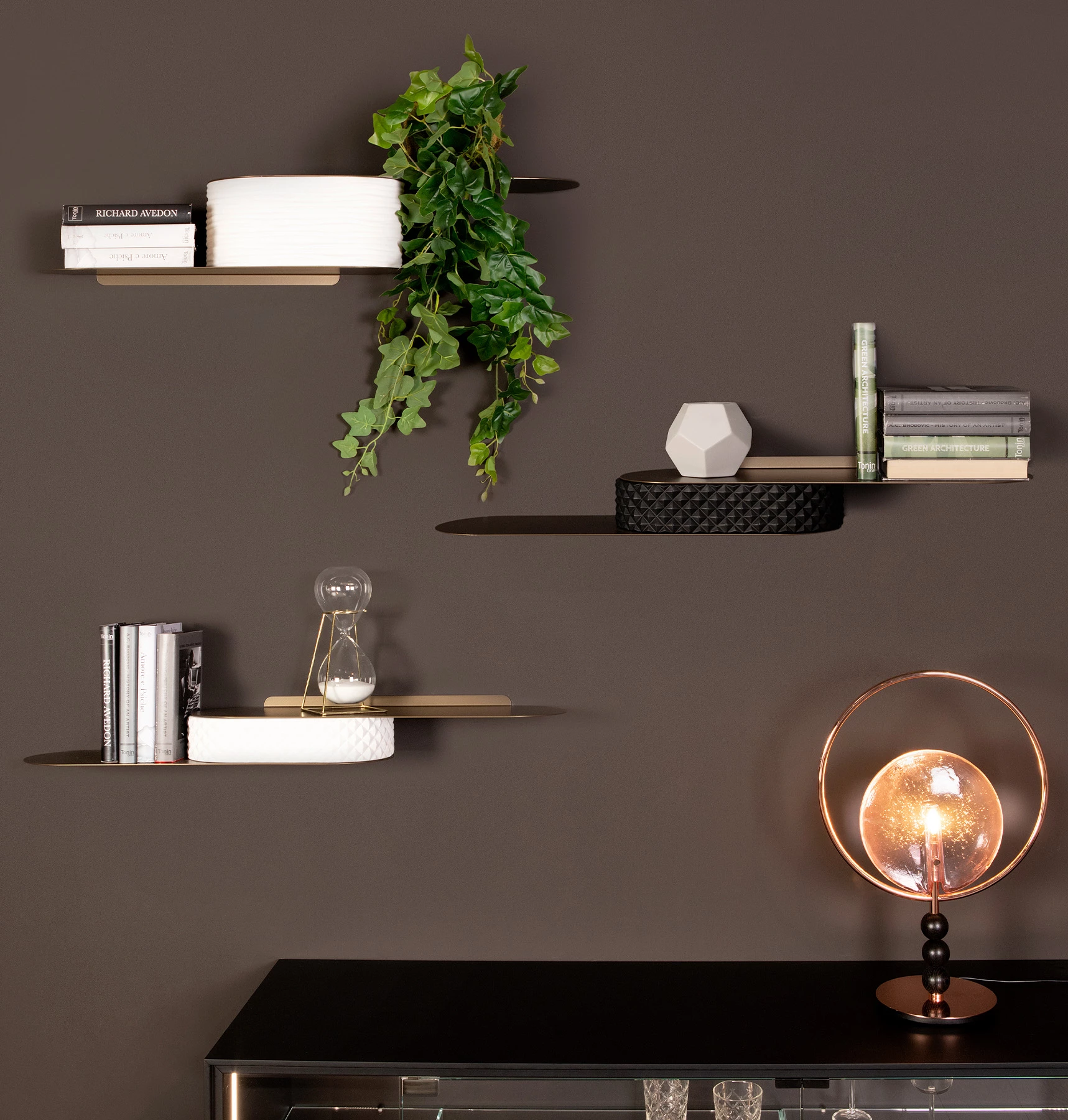 Snowboard Wall Shelf