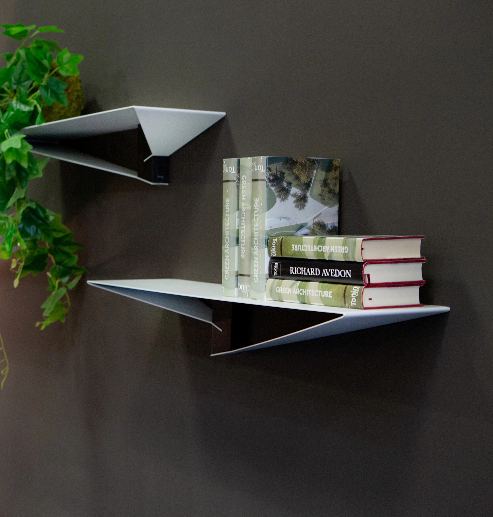 Albatros Wall Shelf