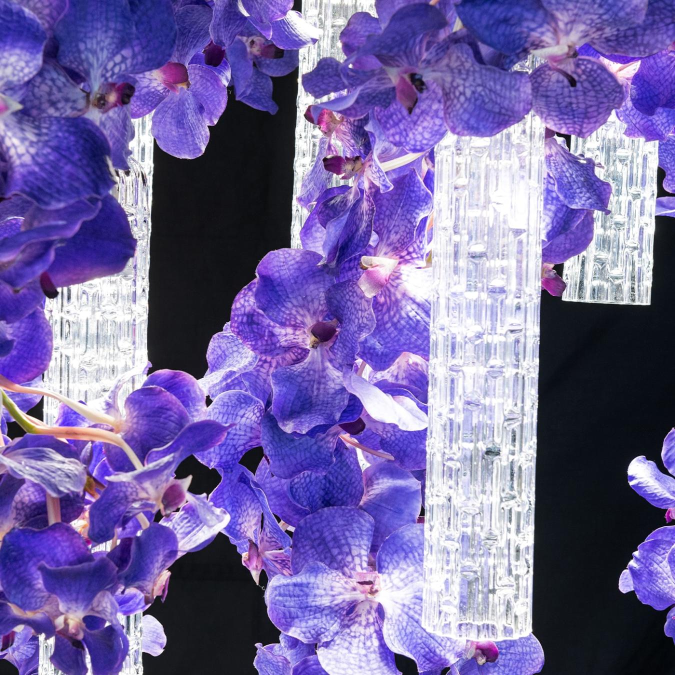 Vanda Large Statement Chandelier