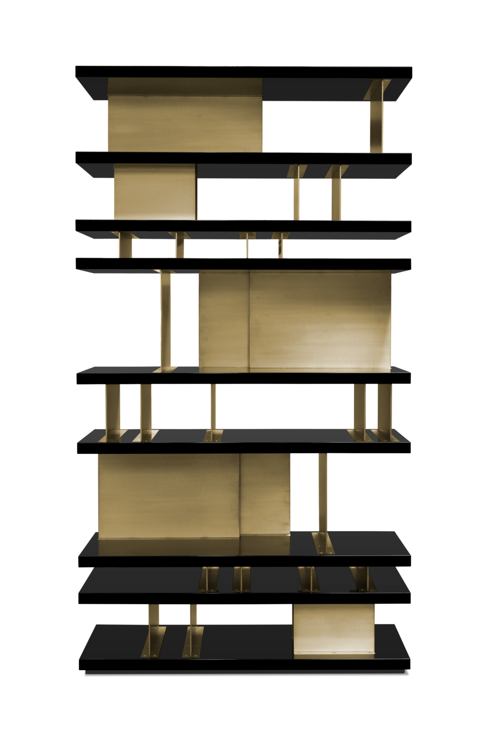 Modern Elegant Bookcase