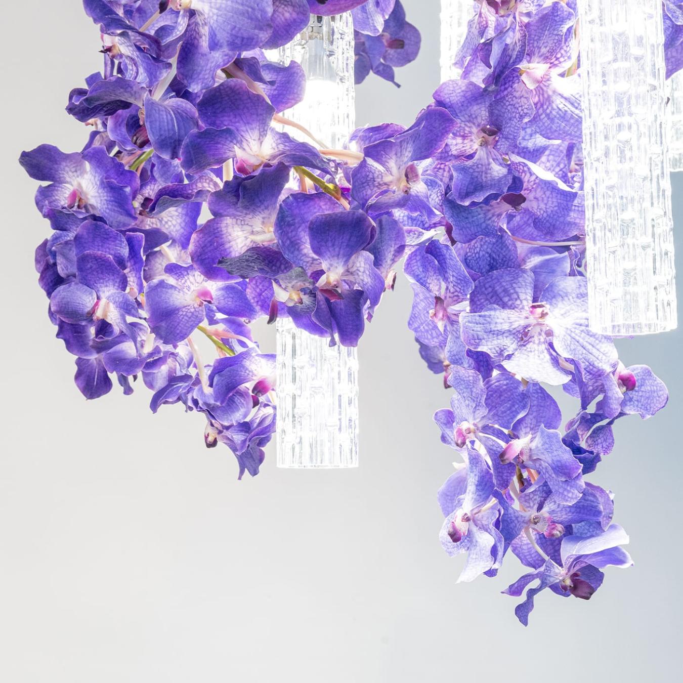 Vanda Large Statement Chandelier