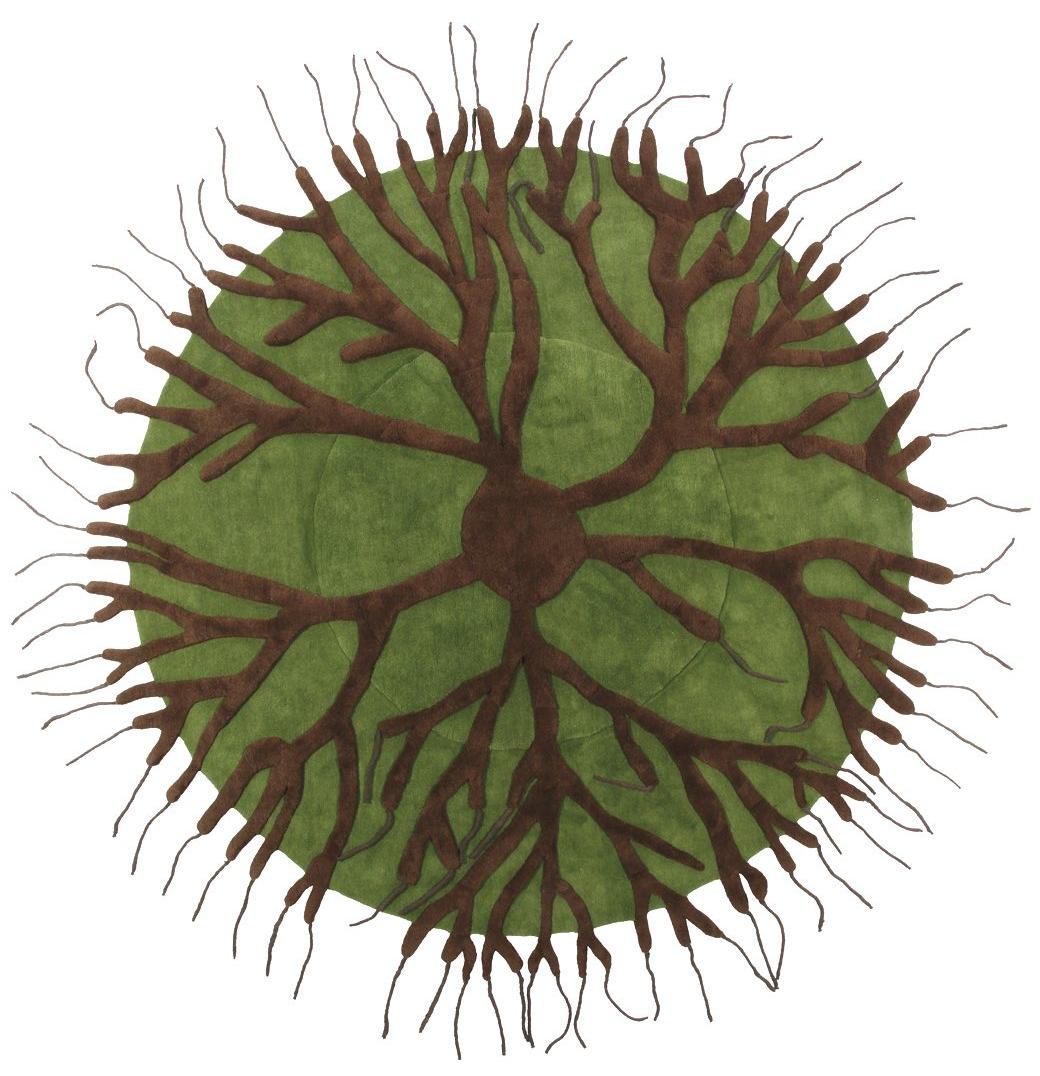 Roots Designer Wool Rug