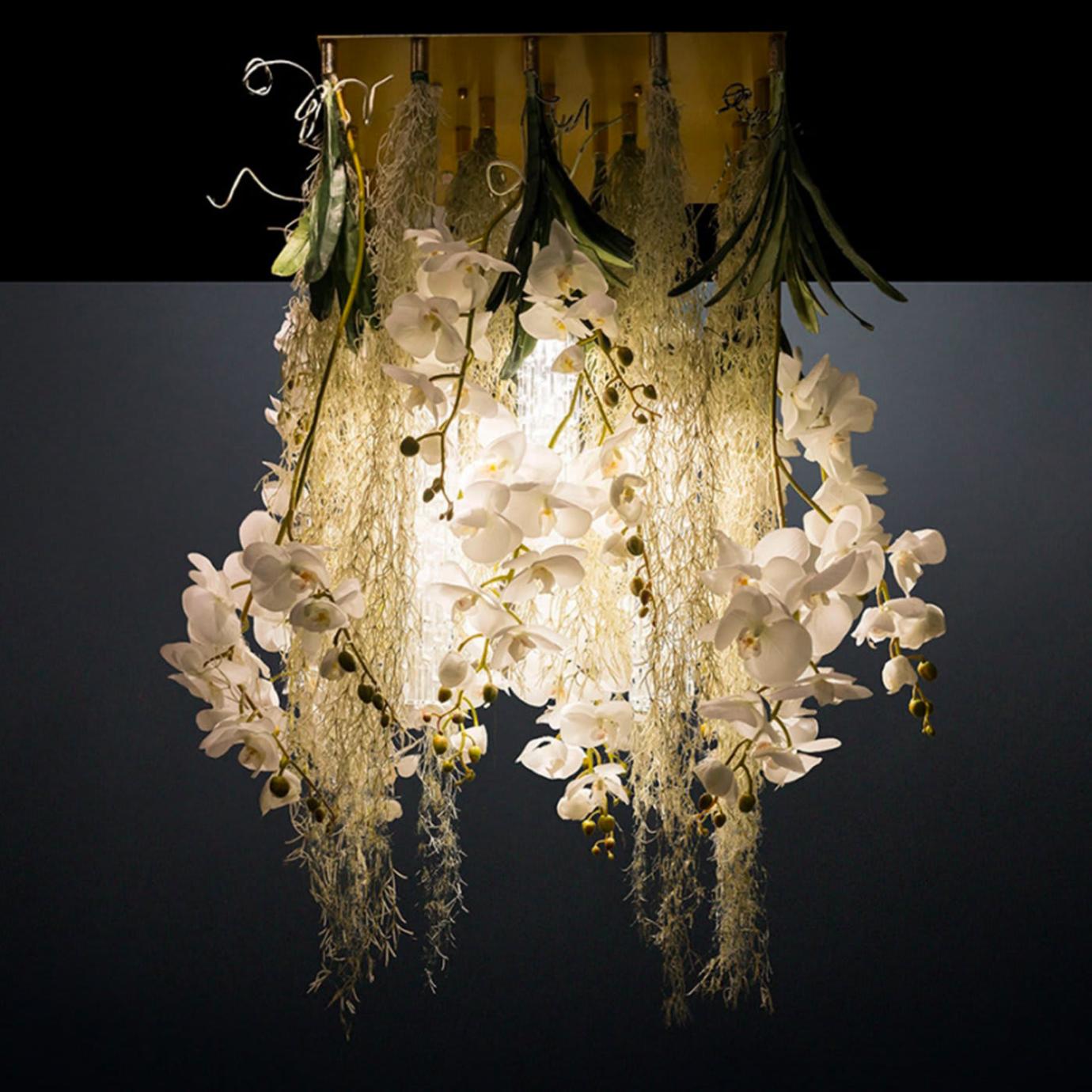 Phalaenopsis Botanical Chandelier