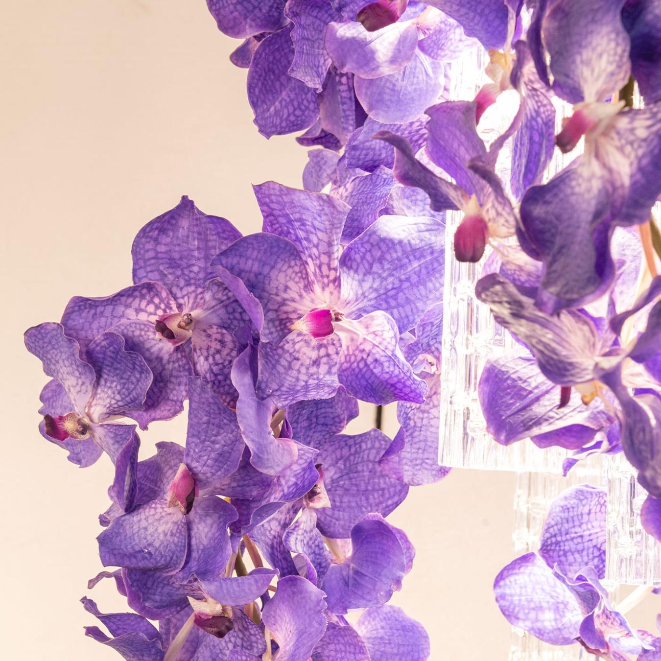 Vanda Square Artisan Chandelier