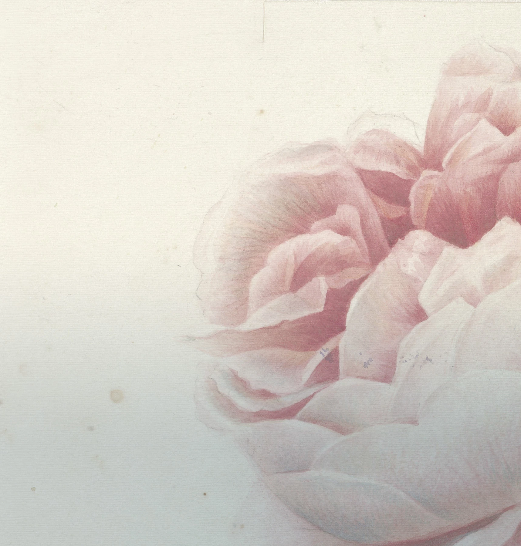 Romantic Flowers Wallcovering