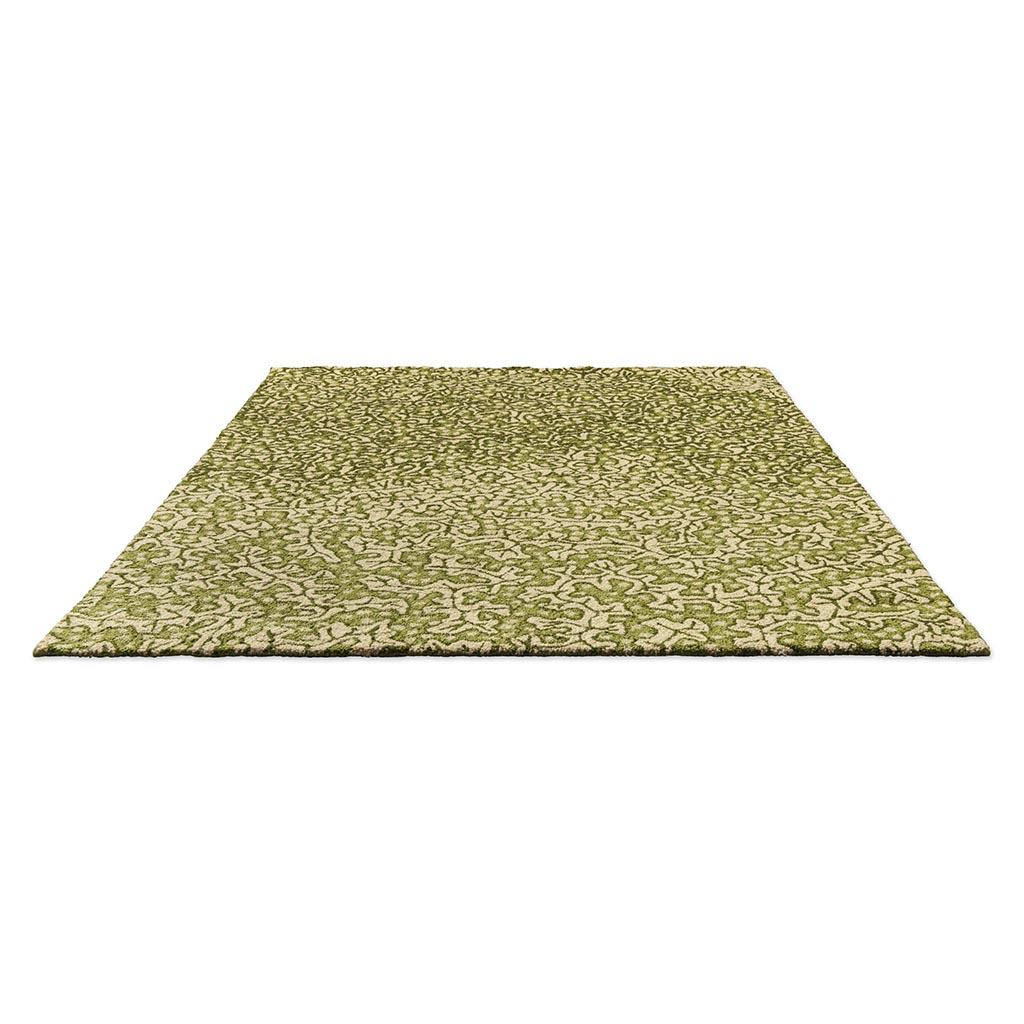 Earth Olive Outdoor Rug | Size: 160 x 230 cm