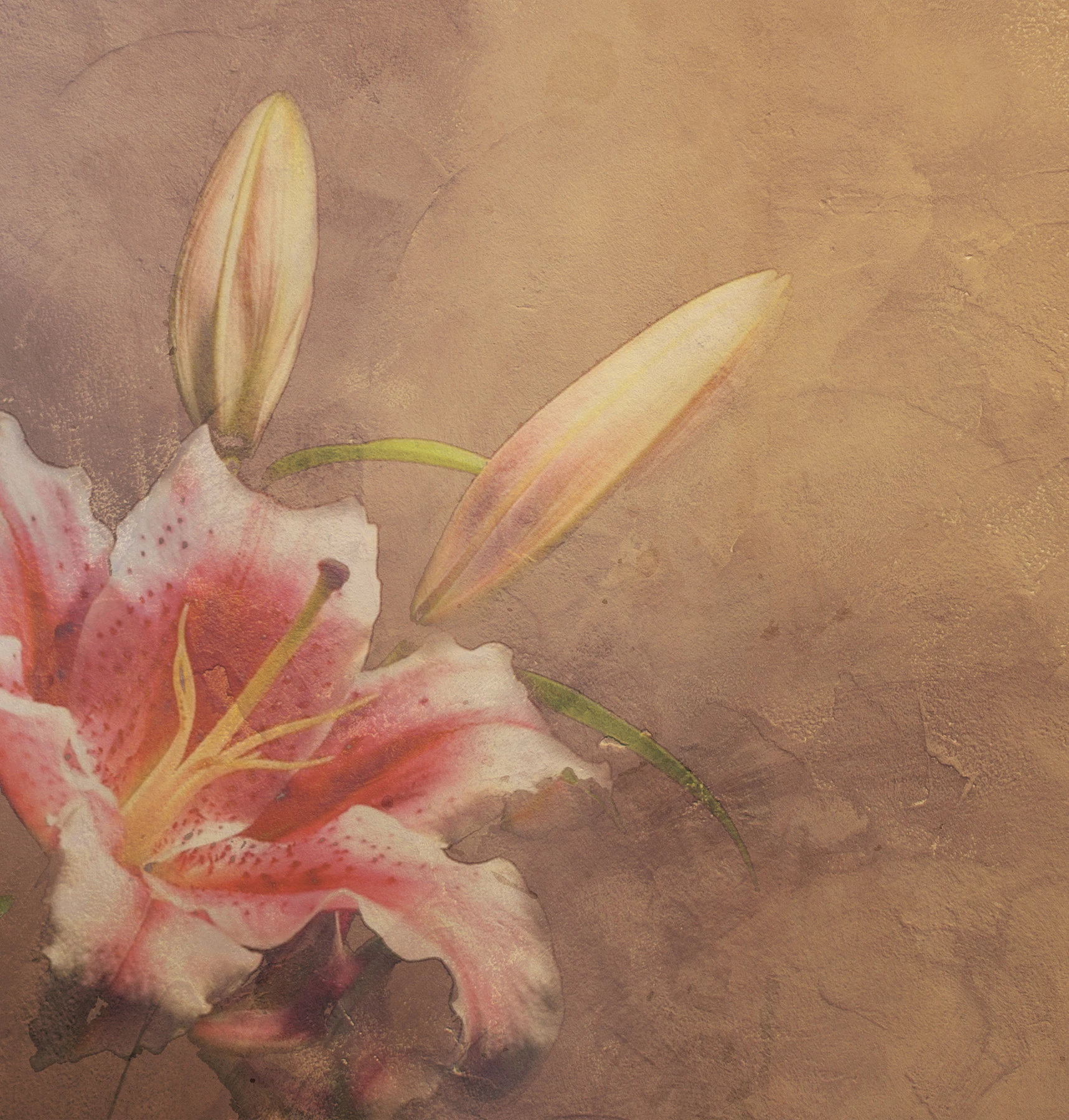 Amaryllis Wallcovering