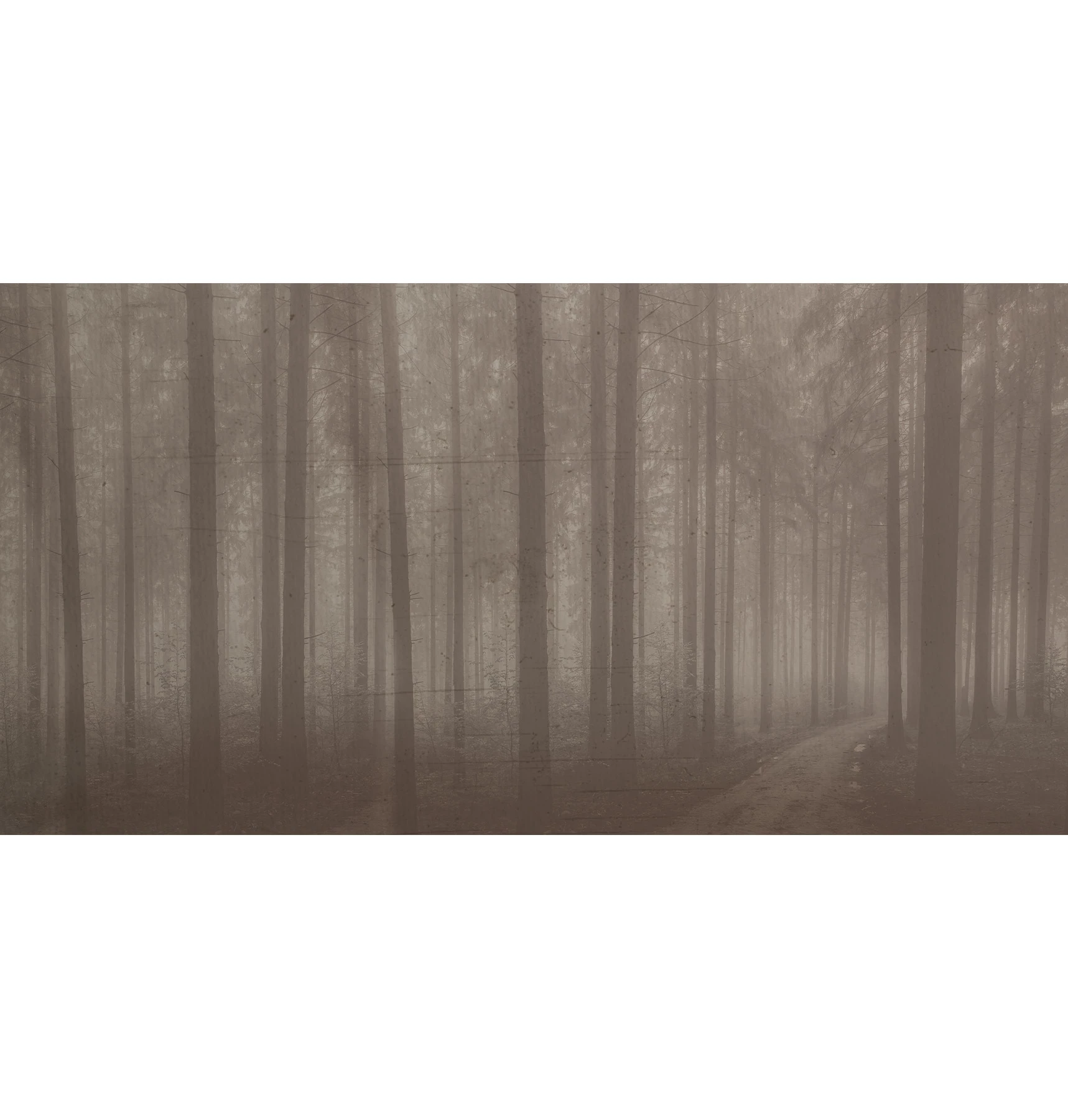 Night Forest Wallcovering