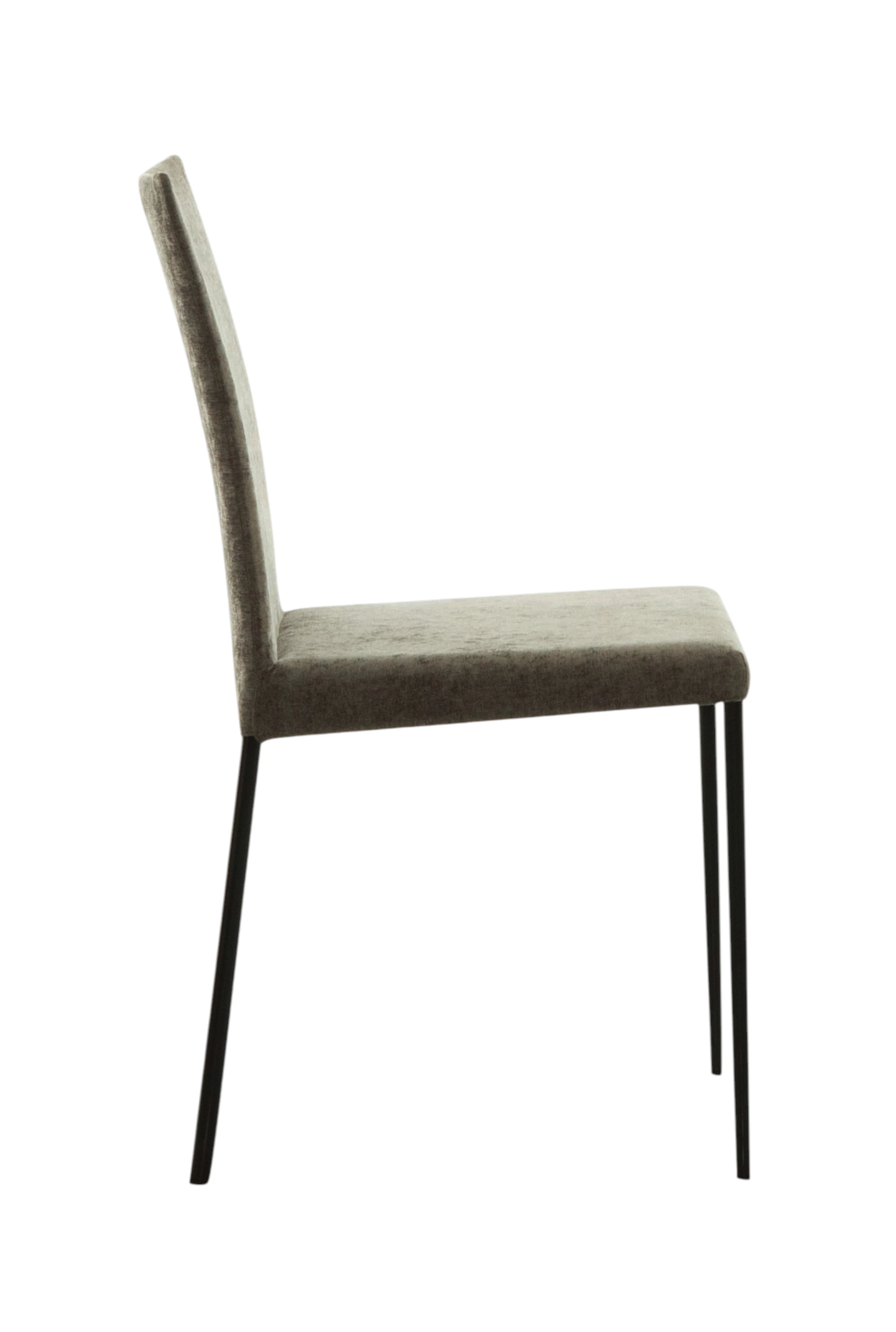 Spillo Contemporary Chair