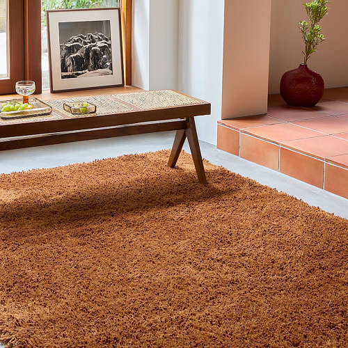 Terracotta Shaggy Rug