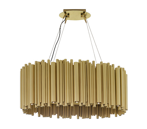 Oval Horizon Ceiling Suspension Lamp
