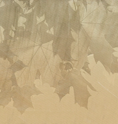 Creative Leaves Wallcovering