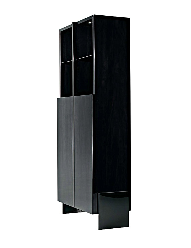 Bookcase with 2 Doors